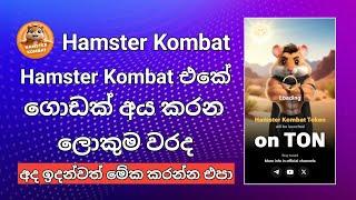 Hamster Kombat එකේ ගොඩක් අය කරන වරද  Hamster Kombat Airdrop  Telegram Airdrop