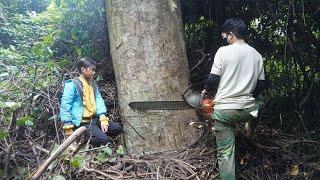 Build a new house - Harvest large trees to make house pillars and wooden house planks - Poor girl