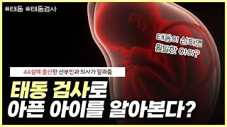 태동 검사를 하는 이유?‍️｜태동이 적으면 얌전한 아이라고..? NO- 노노산부인과 ep70