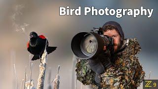 BIRD PHOTOGRAPHY  SHARP photos  PRO tips using the BEST camera settings for wildlife  Nikon Z9