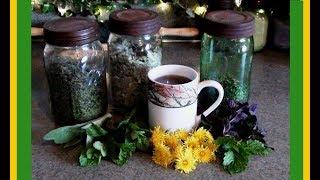 Herbs for Teas Harvesting and Drying