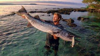 Monster Fish Catch and Cook