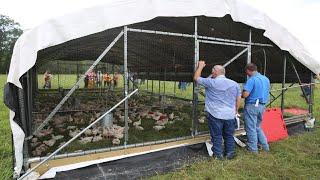 Raising 20000 Chickens On Pasture COMPLETE