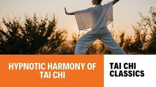 The Hypnotic Harmony of Tai Chi A Journey Through the Classics