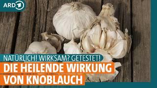 Knoblauch Wie gesund ist er wirklich? I ARD Gesund