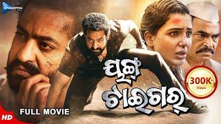 Young Tiger  ୟଙ୍ଗ୍ ଟାଇଗର୍  Odia Full Movie HD  Jr. NTR Samantha Pranitha  New Film  Sandipan