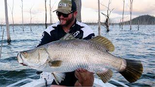 Barramundi  Teemburra Dam