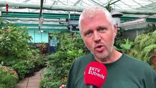 Vlinders vliegen om je oren in Botanische Tuinen RTV Utrecht