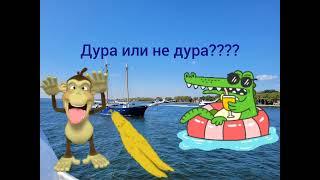 Анегдот про мартышку...