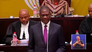 Deputy President Paul Mashatile replies to oral questions in the National Assembly