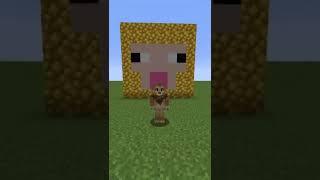 RAW GOLD SHEEP   in MINECRAFT