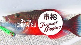 IMA ICHIMATSU - TROPICAL JIGGING