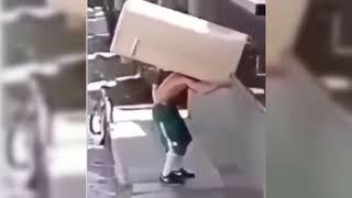 Funny Video Carrying Fridge On A Bicycle