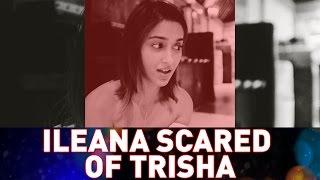 Ileana DCruz Expresses Her Scary Feelings on Trisha - CineUdayam