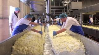 Cheese Making Process