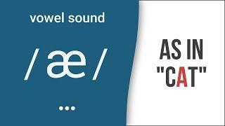 Vowel Sound  æ  as in cat - American English Pronunciation