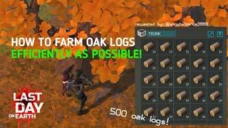 How to Farm in Oak Zones Efficiently  Last Day on Earth Survival