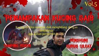 CAMPING HOROR  Penampakan Kucing Ajaib Penghuni Curug Cileat Vol.5