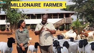 Brilliant Ideas For Raising Goats Sheep In A Small Piece Of Land  Be A Market Leader