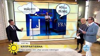 Småpartiernas kris Det kallas borgerlig kannibalism - Nyhetsmorgon TV4