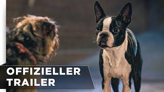 Doggy Style  Offizieller Green Band Trailer deutschgerman HD