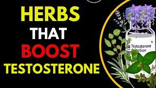 Herbs that Boost Testosterone