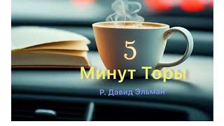 5 МИНУТ ТОРЫ  ВЫПУСК№147 АУДИО