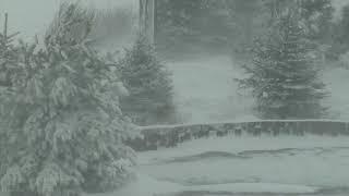 Epic Snowstorm  Howling Blizzard Sounds  Heavy Wind & Snow  Perfect Sounds For Sleep