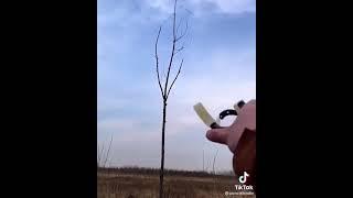 CUTTING THE WHOLE TREE WITH A CATAPULT  Sweedy Ice