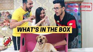 WHATS IN THE BOX CHALLENGE ft. Triggered Insaan Fukra Insaan