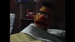 Classic Sesame Street - Ernie And Bert Gordon Presents A Grown Ups Hand
