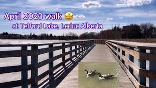 Walk with me at Telford Lake  #walktogether #april #2023 #walk #sunnyday #frozenlake #canada