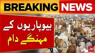 Expensive Cow Rate in Mandi 2024  Bakra Eid 2024  Maweshi Mandi 2024  Breaking News