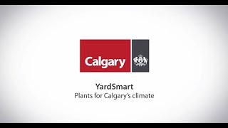 City of Calgary - Yardsmart - Plants for Calgarys Climate