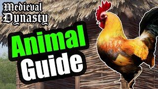 Animals Basics and Tips in Medieval Dynasty