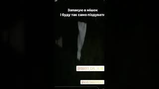 На Львівщині молодики запхали собаку в мішок і побили