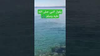 يقول النبي صلى الله عليه وسلم #احاديث #صلوا_على_النبي #دعاء_مستجاب #اكسبلور #explore