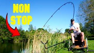 I WENT METHOD FEEDER FISHING FOR CARP