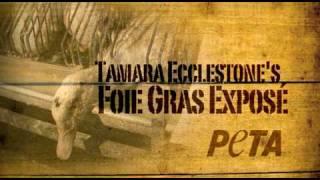Foie Gras Exposé by Tamara Ecclestone