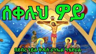 Ethiopian Orthodox mezmur ሰቀሉህ ዎይ ስግደት በደብረ ኀይል ቅዱስ ራጉኤል ካቴድራል 2024