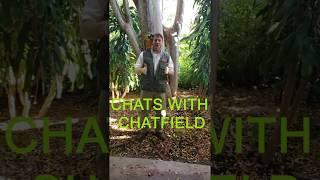 Dr Jason Chatfield - Homeschool - Macaw