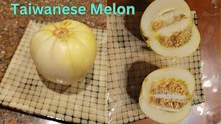 What Does A Taiwanese Melon Taste Like?  #melon #fruit #fruits