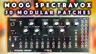 Moog Spectravox Modular Patches & Ideas. Vocoder Synth Demo