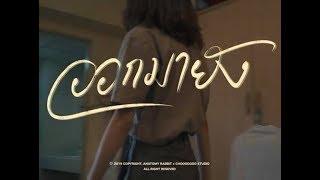 ANATOMY RABBIT - ออกมายัง?  Are you out yet?  OFFICIAL MV 