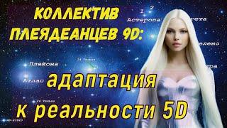 Коллектив Плеядеанцев 9D адаптация к реальности 5D