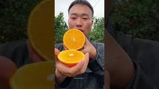 Satisfying fresh fruit farm #orange #fruit #shorts