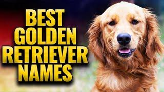 Top 20 Golden Retriever Names In 2021