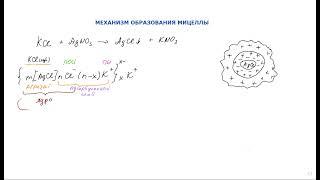 СТРОЕНИЕ МИЦЕЛЛЫ - урок 1