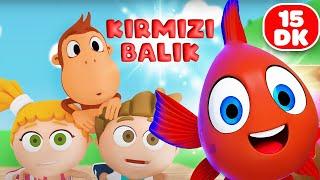 Red Fish  Kukuli Animal Songs for Children  Bee Frog Meow Rooster RED FISH