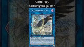 What Does Guardragon Elpy Do? Yugioh Cards Explained for Easy Deck Building